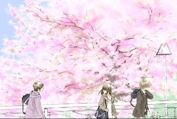 糖心91白虎